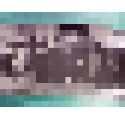 Фото групповое: Делегаты районной партийной конференции, п.Ола