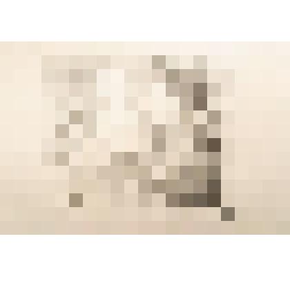 Портрет Мухиной В.И