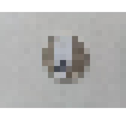 монета юбилейная