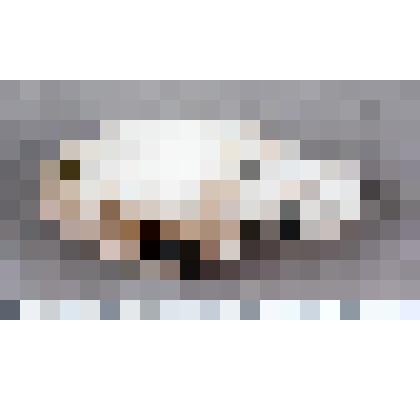 Шлифовальная плита, обломок