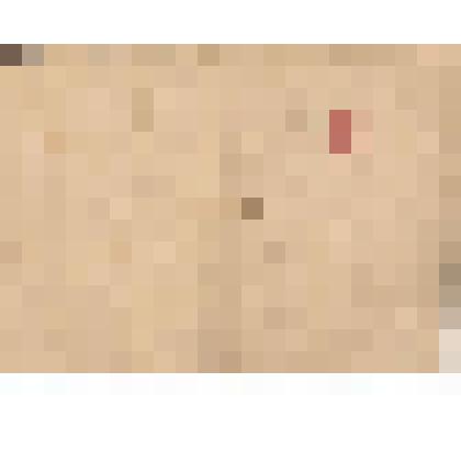 Красноармейская книжка курсанта Стрельцова Ф.И