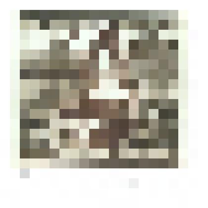 EX LIBRIS WANDA GASPEROWICZ. Центр российской культуры в Риме. 2005