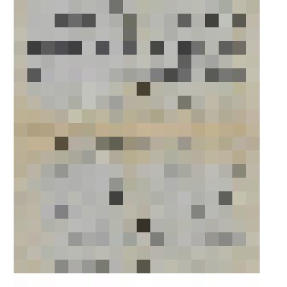 Документ. Письмо (черновик) Белопухова С. С., бывшего учителя географии средней школы № 3 имени А. Н. Островского города Кинешмы Ивановской области, Раушу В., географу из города Москвы. Из коллекции материалов о Белопухове Сергее Семеновиче (1900-1975), у