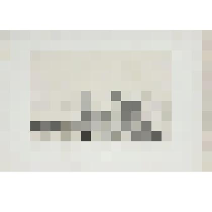 Литография. "Новгород. Внутренний двор крепости."