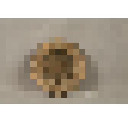Блюдо