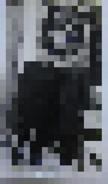 Фотография Б.А. Вахрушев и С. Вахрушев