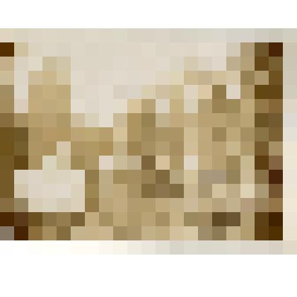 Фотография. Снимки лесной партии. Стоянка в лесу