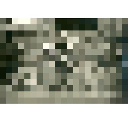 Фотография. Образцы овощей из первой партии, отправляемой из Якутска в низовья реки Лены на рыбные промыслы в Булун. с. Павловское