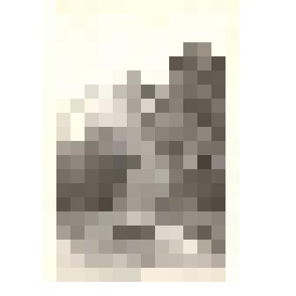 Фотография. Памятник в районе Каменской горбольницы на месте стоянки партизанского обоза во время первого наступления партизан на Камень 4 августа 1919 года под командованием Громова