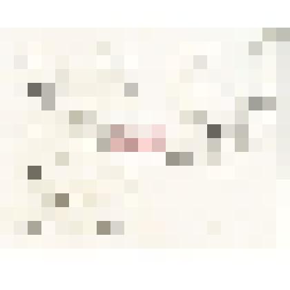 Письмо правителя дел Троицкосавско-Кяхтинского   отделения   Приамурского отдела   ИРГО   Н.   М.   Мартьянову   с уведомлением     об     отправке     своей фотографии, о местном музее