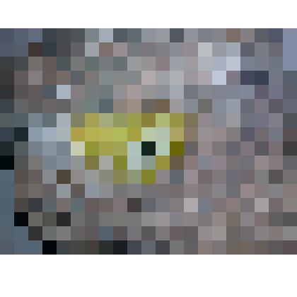 Минерал стелларит