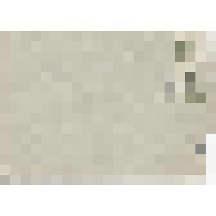 Письмо. Успенский А. Адресат: Кассиль Лев Абрамович, г. Москва - г. Москва. Авторизованная машинопись