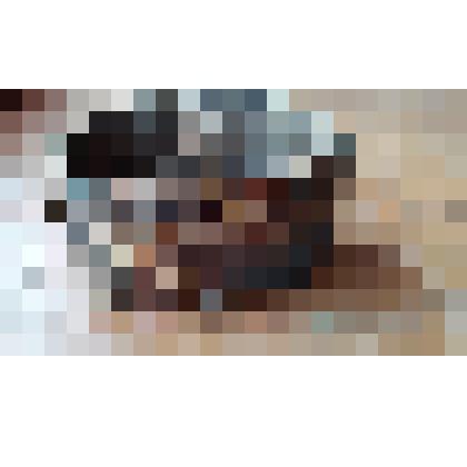 Лукошко посевное