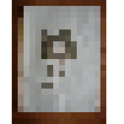 Гербарий. Тополь пирамидальный