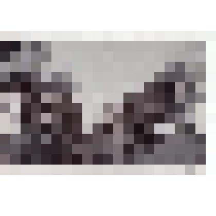 Ф/о/чб. Повозка с двойкой лошадей на проселочной дороге в степи (слева - фигура крестьянина). Самарская губ. Нач. ХХ в