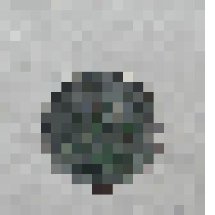 Монета. 10 копеек