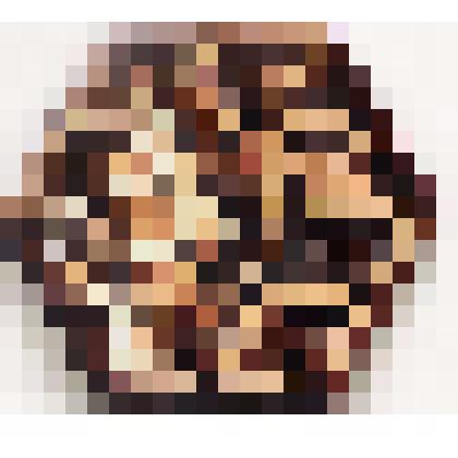 ТСХР эмблема