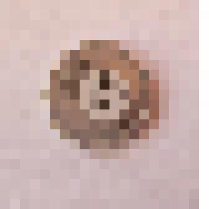 Монета 1 пфенниг 1948 года