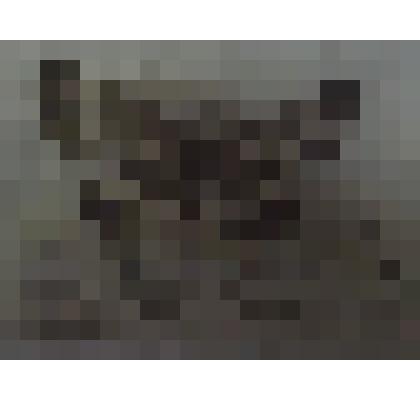 Бабочка "Пяденица хастата"