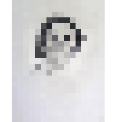 Женский портрет