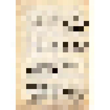 Письмо Антипенко Елена Дмитриевны директору Энгельсского краеведческого музея Борисову С.В. с размышлением о биографии ее предка Хмары. Москва. 25.03.1982 г