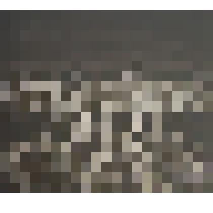 "Тигр в папоротнике"