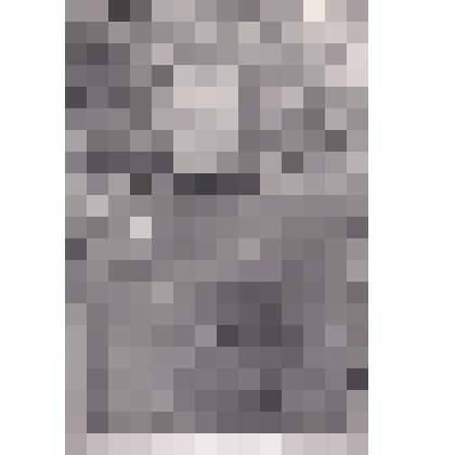 Фотография. Фотография черно-белая. Поясной портерт генерала Н.Ф. Ватутина. Надпись на обороте: "Командующий I украинским фронтом генерал-армии Н.Ф, Ватутин". Коллекции фотографий времен ВОВ и второй половины XX в