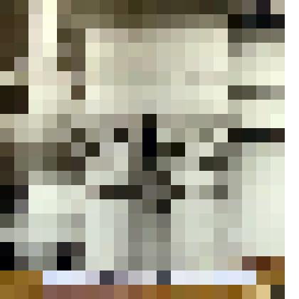 Фото-позитив. Из документов реставрации соборов Тульского кремля.  1990 г