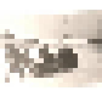 Фотография. Субботник в школе