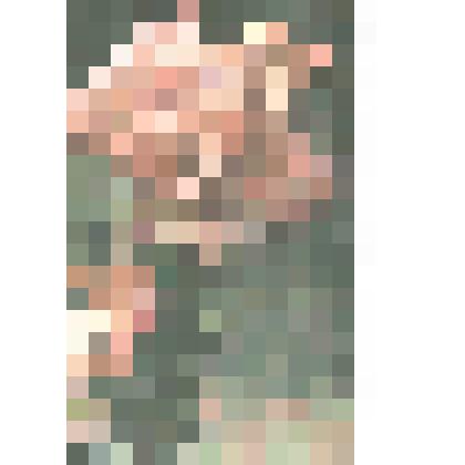 Открытка. Фото Е. Игнатович. "Розы". 1968 г