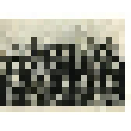 Фотография. Ученики коломенской школы № 877