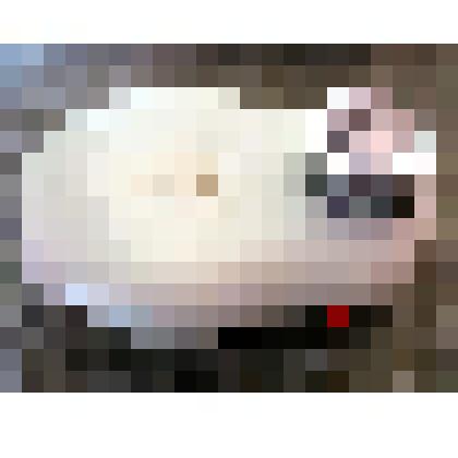 Бритва  механическая "Спутник" в футляре