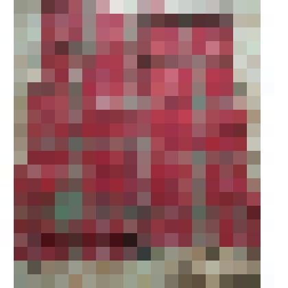 Полотно. Первая половина ХХ в