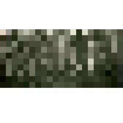 Фотография. Смешанное березо-лиственничное насаждение с подростом из Аянской ели по правому берегу р.Алдан, при подъеме на Учурский хребет