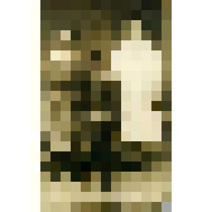 Фотография. Шунин Гавриил Васильевич (уроженец села Большая Ёга Похвистневского района) с женой