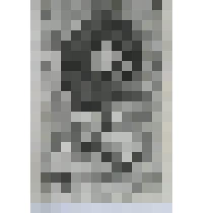 Портрет Уильяма Сесиля,  [I барона] Бёргли, государственного секретаря, Лорда - казначея в правление Елизаветы I