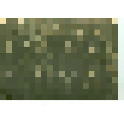 Фотографии. Фото. Сарлина (Уязнова) Ф.И. во втором ряду вторая слева