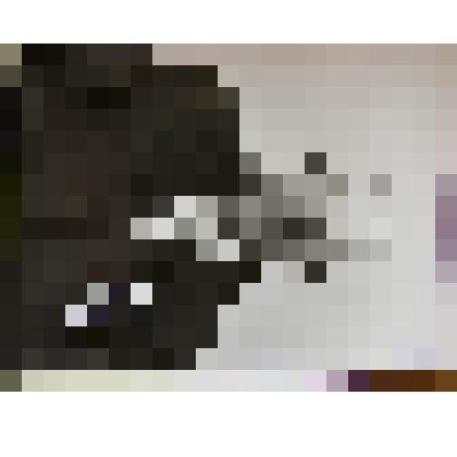 Фотография ветерана 87 Краснознамённой Перекопской стрелковой дивизии Высоцкого Д.Д