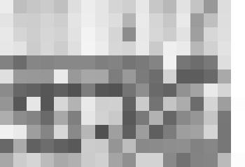 Фотография. Бородин Г.П. Герой соц.труда