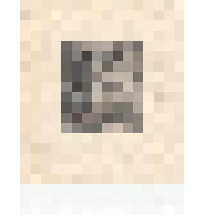 Офорт "Портрет матери". 1917