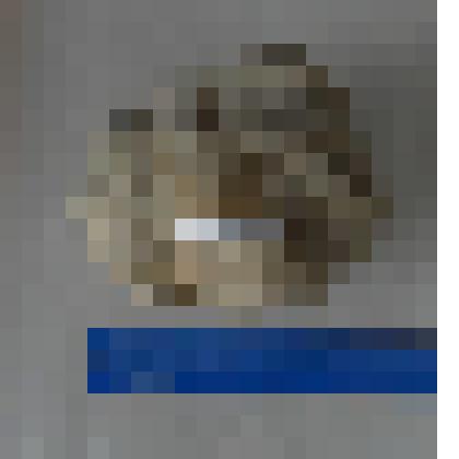 Окаменелости ракушечника