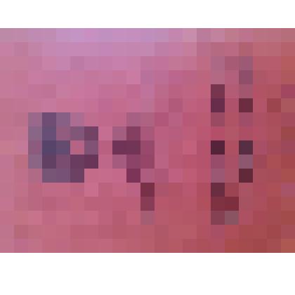 Военный билет