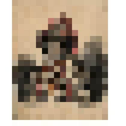 Портрет неизвестной женщины средних лет