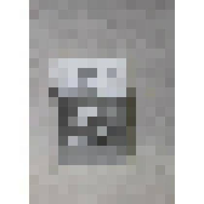 Фотография ч/б. У памятника грязовчанам, погибшим в боях за Советскую Родину в1941- 1945 гг