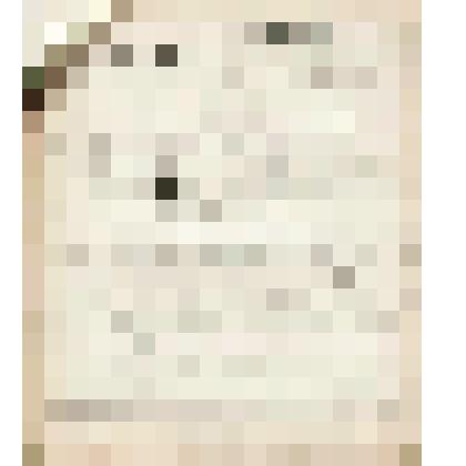 Телеграмма № 4029 в г. Чердынь В.Н.Алину от Виктора Лаптева из г. Вятки, 28.09.1908 г