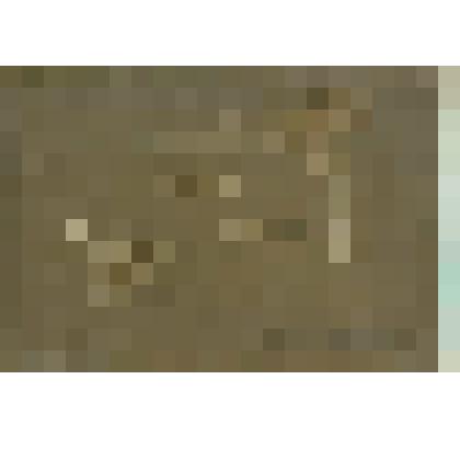 Альбом фотографий: "Виды Кавказа"