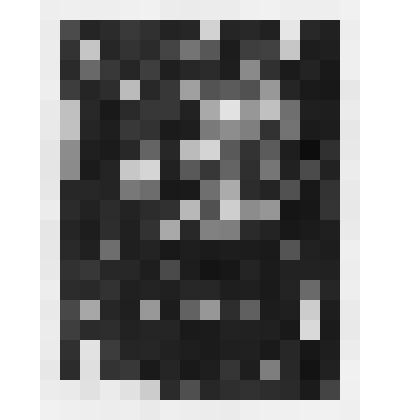 Экслибрис "Ex libris Соломона Вуля"