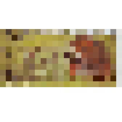 Марка почтовая. Почта СССР. Русский охотничий спаниель