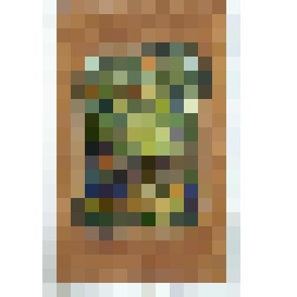 Рыба на берегу