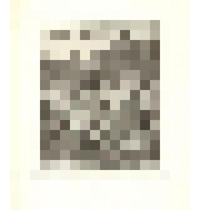 "Санкт-Петербург. На Екатериненском канале". Гравюра